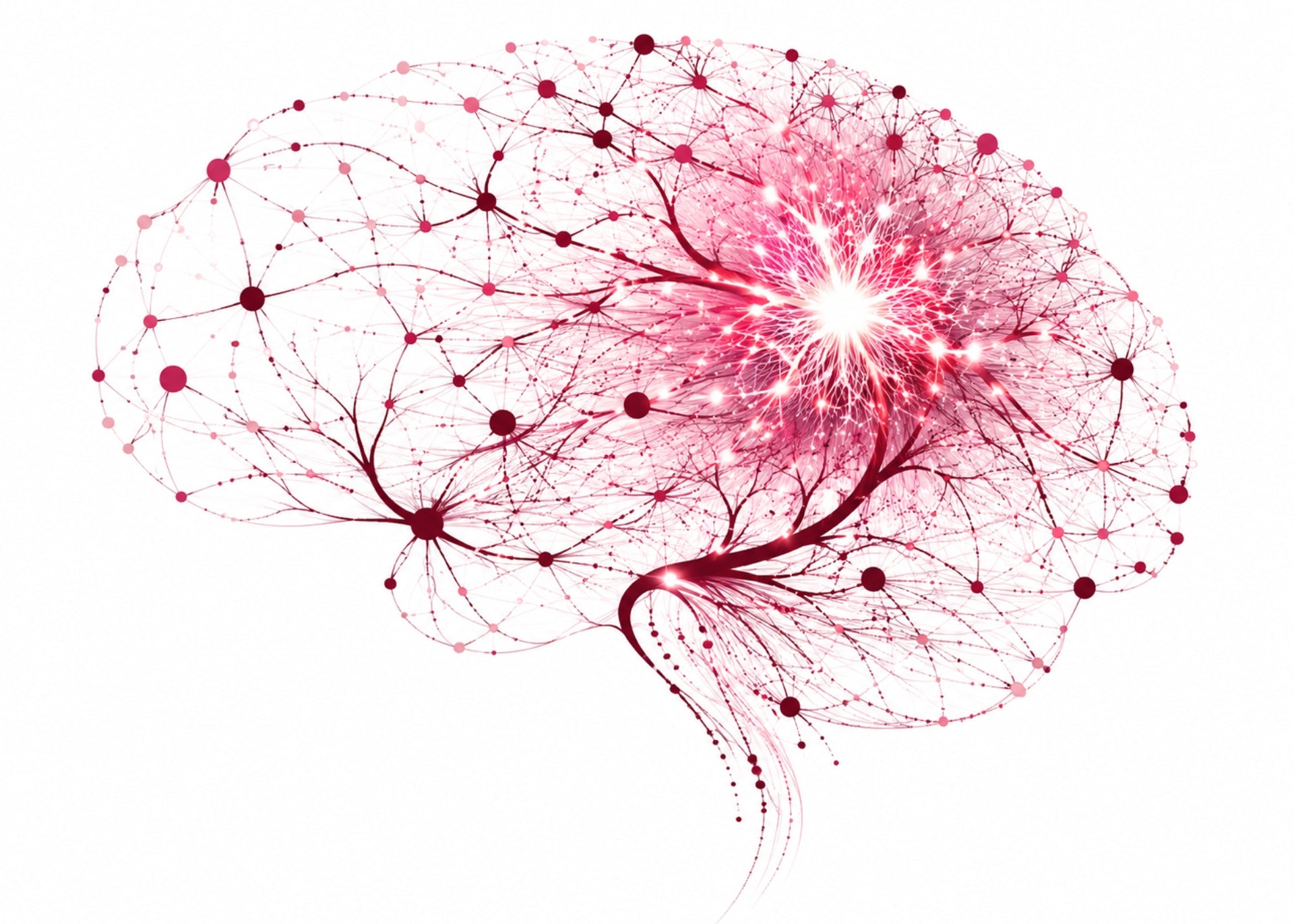 ¿Qué ocurre en el cerebro durante una migraña?